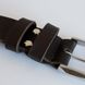 Brown leather belt with silver buckle 110