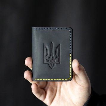 Обкладинка для водійських прав та техпаспорту "Palianytsia"